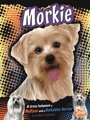 cover image of Morkie
